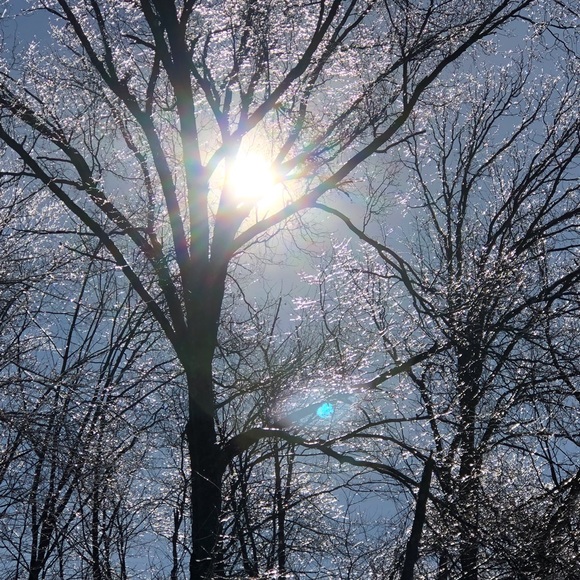 Meet Your Posher, Colette - Picture 2 of 2